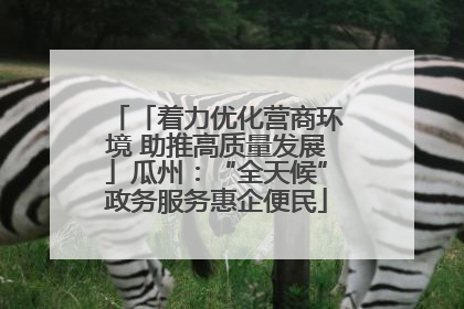 「着力优化营商环境 助推高质量发展」瓜州：“全天候”政务服务惠企便民