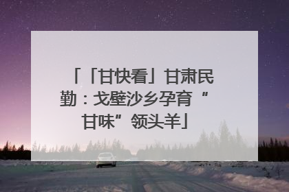 「甘快看」甘肃民勤：戈壁沙乡孕育“甘味”领头羊