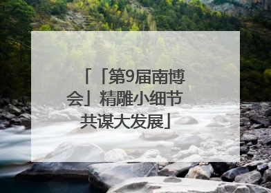 「第9届南博会」精雕小细节共谋大发展