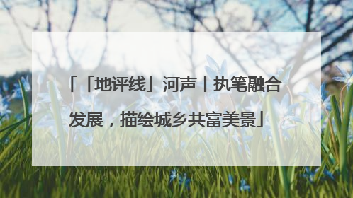 「地评线」河声丨执笔融合发展，描绘城乡共富美景