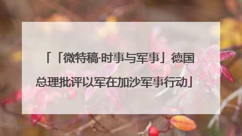 「微特稿·时事与军事」德国总理批评以军在加沙军事行动