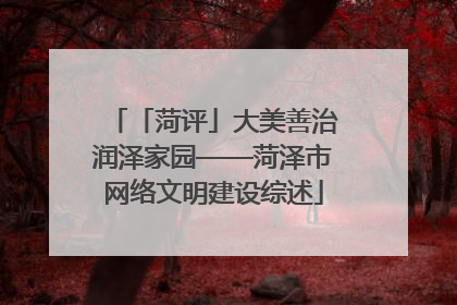 「菏评」大美善治润泽家园——菏泽市网络文明建设综述