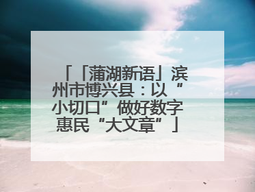 「蒲湖新语」滨州市博兴县：以“小切口”做好数字惠民“大文章”
