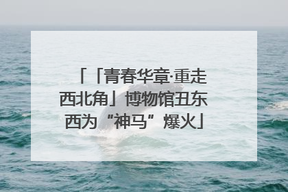「青春华章·重走西北角」博物馆丑东西为“神马”爆火