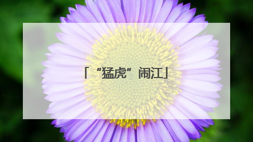 “猛虎”闹江