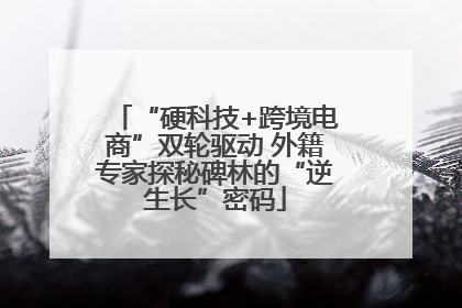“硬科技+跨境电商”双轮驱动 外籍专家探秘碑林的“逆生长”密码