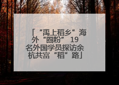 “禹上稻乡”海外“圈粉” 19名外国学员探访余杭共富“稻”路