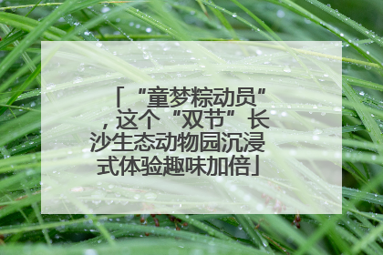 “童梦粽动员”，这个“双节”长沙生态动物园沉浸式体验趣味加倍