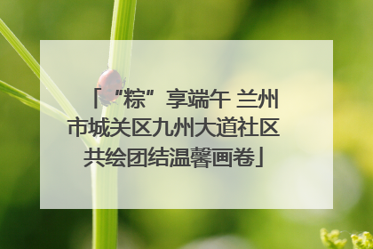 “粽”享端午 兰州市城关区九州大道社区共绘团结温馨画卷
