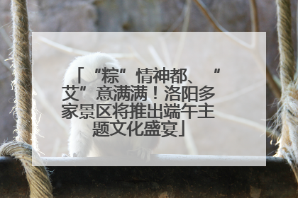 “粽”情神都、“艾”意满满！洛阳多家景区将推出端午主题文化盛宴