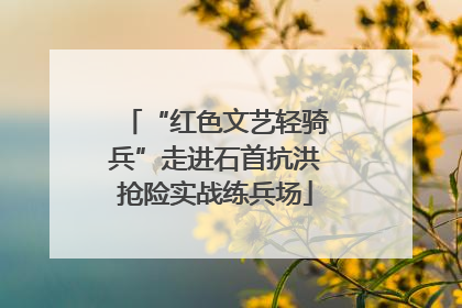 “红色文艺轻骑兵”走进石首抗洪抢险实战练兵场