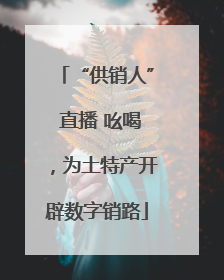 “供销人” 直播 吆喝，为土特产开辟数字销路