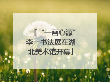 “一画心源”李一书法展在湖北美术馆开幕