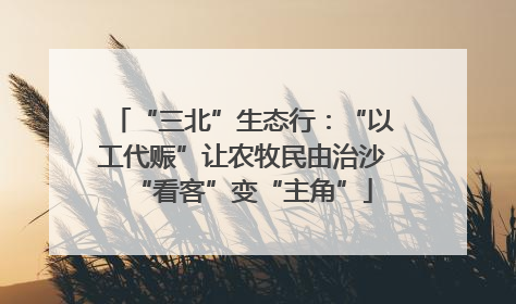“三北”生态行：“以工代赈”让农牧民由治沙“看客”变“主角”