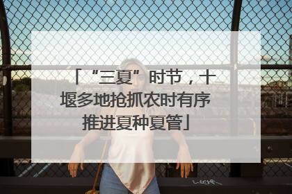 “三夏”时节，十堰多地抢抓农时有序推进夏种夏管