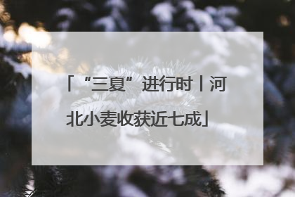 “三夏”进行时丨河北小麦收获近七成