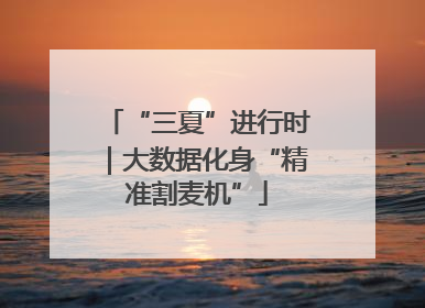 “三夏”进行时｜大数据化身“精准割麦机”