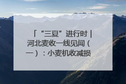 “三夏”进行时｜河北麦收一线见闻（一）：小麦机收减损“竞技” 农机高手麦田“过招”