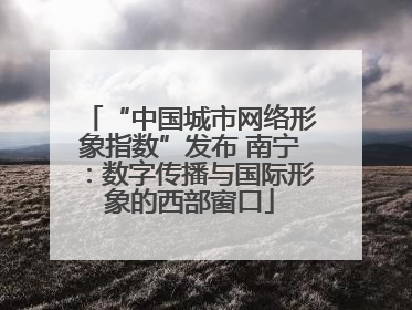 “中国城市网络形象指数”发布 南宁：数字传播与国际形象的西部窗口