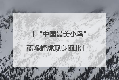 “中国最美小鸟”蓝喉蜂虎现身闽北