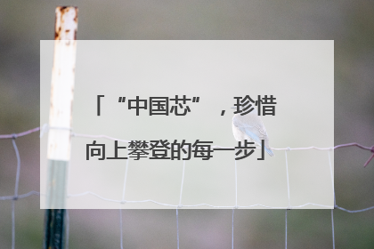 “中国芯”，珍惜向上攀登的每一步