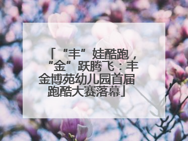 “丰”娃酷跑，“金”跃腾飞：丰金博苑幼儿园首届跑酷大赛落幕