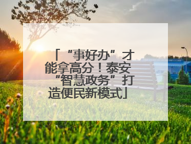 “事好办”才能拿高分！泰安“智慧政务”打造便民新模式