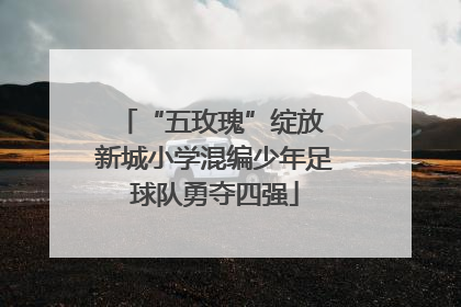 “五玫瑰”绽放 新城小学混编少年足球队勇夺四强