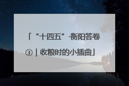 “十四五”·衡阳答卷③｜收粮时的小插曲