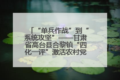“单兵作战”到“系统攻坚”——甘肃省高台县合黎镇“四化一评”激活农村党员管理新引擎