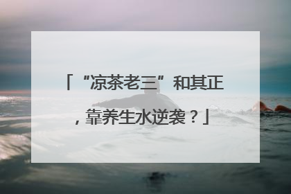 “凉茶老三”和其正，靠养生水逆袭？