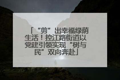 “剪”出幸福绿荫生活！控江路街道以党建引领实现“树与民”双向奔赴