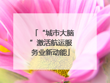 “城市大脑”激活航运服务业新动能