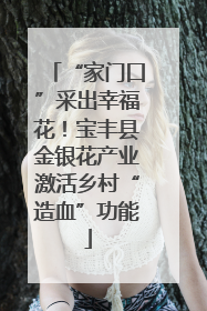 “家门口”采出幸福花！宝丰县金银花产业激活乡村“造血”功能