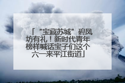 “宝藏苏城”碧凤坊有礼！新时代青年榜样喊话宝子们这个六一来平江街道