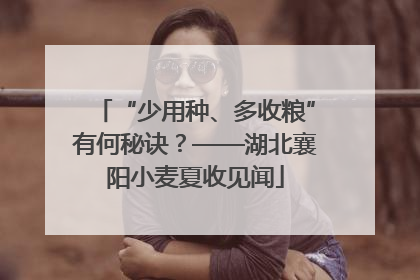 “少用种、多收粮”有何秘诀？——湖北襄阳小麦夏收见闻