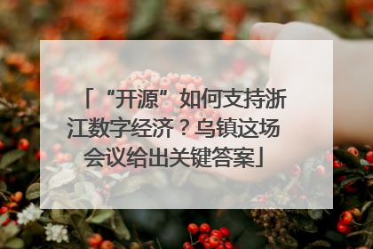 “开源”如何支持浙江数字经济？乌镇这场会议给出关键答案