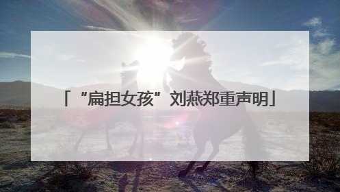 “扁担女孩”刘燕郑重声明