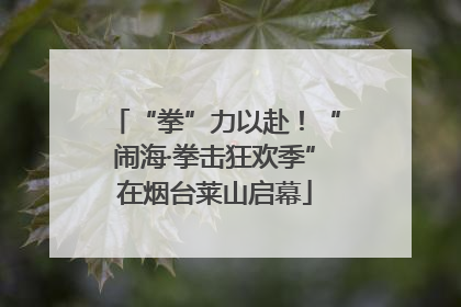 “拳”力以赴！“闹海·拳击狂欢季”在烟台莱山启幕
