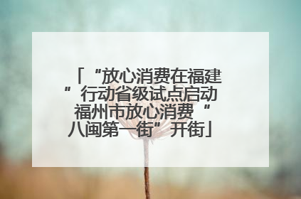 “放心消费在福建”行动省级试点启动 福州市放心消费“八闽第一街”开街