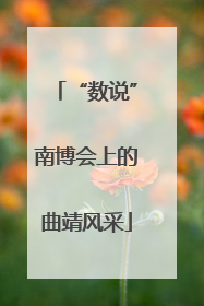 “数说”南博会上的曲靖风采