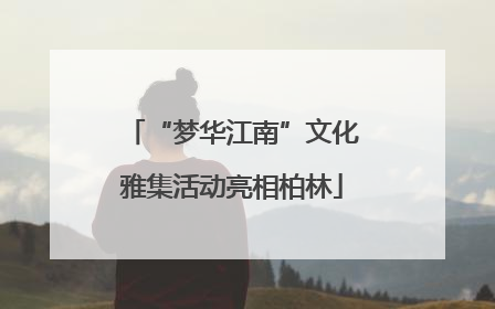 “梦华江南”文化雅集活动亮相柏林
