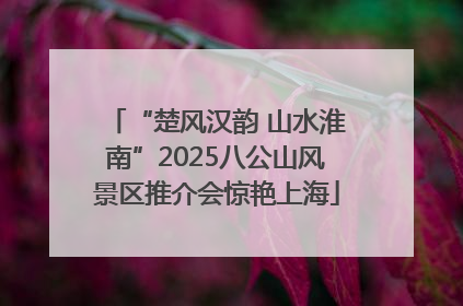 “楚风汉韵 山水淮南”2025八公山风景区推介会惊艳上海