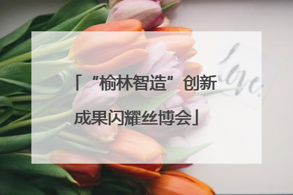 “榆林智造”创新成果闪耀丝博会