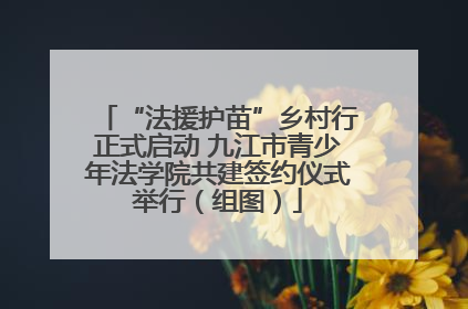 “法援护苗”乡村行正式启动 九江市青少年法学院共建签约仪式举行（组图）
