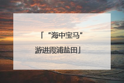 “海中宝马”游进霞浦盐田