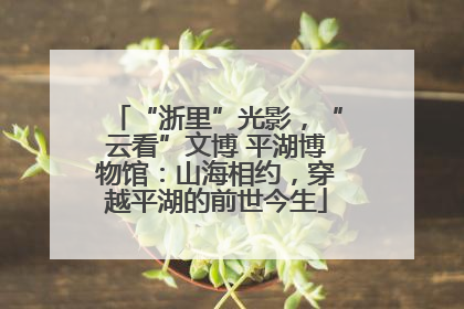 “浙里”光影，“云看”文博 平湖博物馆：山海相约，穿越平湖的前世今生