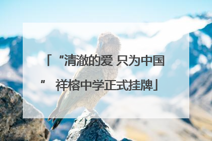“清澈的爱 只为中国” 祥榕中学正式挂牌