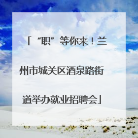 “职”等你来！兰州市城关区酒泉路街道举办就业招聘会