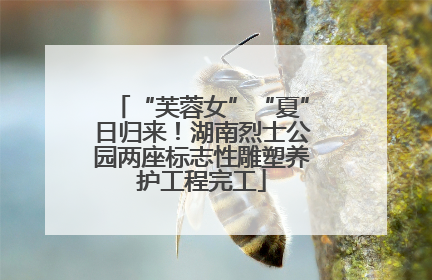 “芙蓉女”“夏”日归来！湖南烈士公园两座标志性雕塑养护工程完工